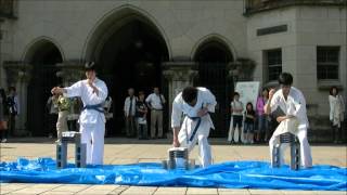 2012年度東京大学極真空手同好会五月祭演武