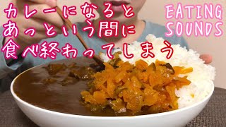 《Eating sounds》カレーライス!Curry and rice!