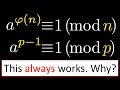 Euler's Totient Theorem and Fermat's Little Theorem - Complete Proof & Intuition