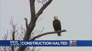 Eagle Halts Construction In NJ