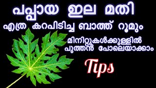 പപ്പായ ഇല കൊണ്ട് ബാത്റൂം ക്ലീൻ ചെയ്തു നോക്കൂ അത്ഭുതപ്പെടുത്തും | Bathroom cleaning ideas