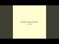Sunset Tranquil Ember