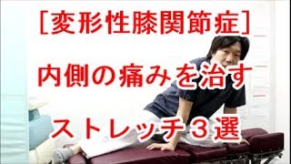 【変形性膝関節症】内側の痛みに効くストレッチ３選