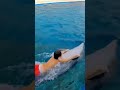 Лучший подарок ребенку🔥 💯 дельфинарий дельфины dolphin аджария voyaged батуми batumicity სოფელი топ