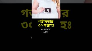 ৩০ সপ্তাহে কত মাস হয় #গর্ভবতী #pregnancy #সপ্তাহ #মাস #wombbaby #৩০সপ্তাহ #30Week #7month #shorts