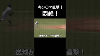 場内騒然！送球がキン〇マ直撃で悶絶！立正大ファーストの迅速な対応は素晴らしい！　立正大 vs 東農大　2024.5.22　＃大学野球  #東都大学野球  #悶絶