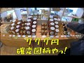 【日帰り旅行】岡山県津山市のんびりゆるくドライブ旅【前編】