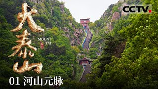 《大泰山》01 这里是“天下第一山”泰山 沉浸式领略泰山美景与文化——河山元脉【CCTV纪录】