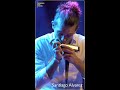 #Santiago Alvarez perfoming at the HARMONICA F E N FESTIVAL 2022