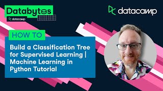 How To Do A Classification Tree in Python | Machine Learning in Python | Databytes