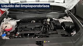 Como revisar los niveles de líquidos de tu Hyundai | Madiautos