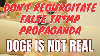 DOGE is Not Real. Be accurate w/ our words and stop using Tr*mp's propaganda. (Part 2)