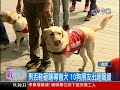 【中視新聞】男丟鞋砸瞎導盲犬 10狗朋友出庭聲援 20140318