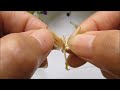 pruning and collecting torenia seeds