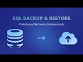 SQL Backup & Restore: A Beginner's Guide to Database Protection