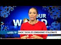 Wrap of SA, ZIm Bi-national Commission - Mzwandile Mbeje