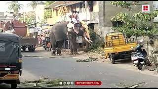 'ഇടത്തും വലത്തും നോക്കാതെ താഴെയിറക്കാനെ'; പാലക്കാട് വടക്കന്തറ ദേശവേല എഴുന്നള്ളത്തിനിടെ ആനയിടഞ്ഞു