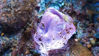 After the volcanic eruption, pink diamond ore, sapphire appeared. Jewelry, gems, crystals, diamonds