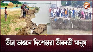 কুষ্টিয়ায় তীব্র হচ্ছে পদ্মার ভাঙন; আতঙ্কে নদী তীরের মানুষ |  Kustia Erosion | Channel 24