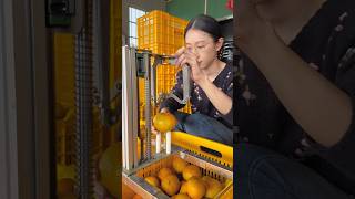 Easy process of lemon cutting with manual small machine