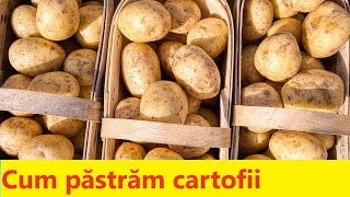 How to Store Potatoes So They Last for Months 🥔🥔🥔