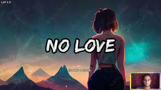 No Love Lofi | (Slowed + Reverb) | Shubh | Lofi Song | Lofi 2.0