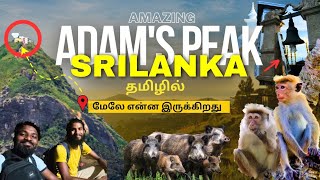 🇱🇰சிவனொளிபாதமலை பயணம் Journey to Adam's Peak |தமிழ் vlogging|Sripada|ශ්‍රී පාද|🌞 sunrise