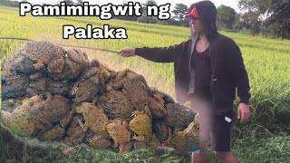 PAMIMINGWIT NG PALAKA | Buhay Probinsyano