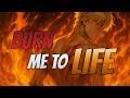 Burn Me to Life - by The Lunar Lyre [Official Lyric Video]