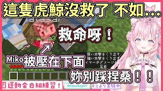 沙花叉掉到Miko的待機洞，慘遭隊友非人道救出【hololive｜中文翻譯】