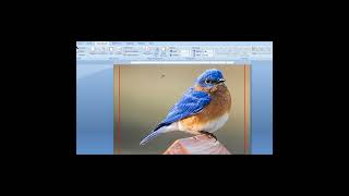 How to Add Watermark in Ms Word