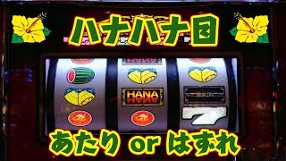 【ハナハナマニアックテスト】このハナハナ目は当たりですか？それともスイカの取りこぼしですか？