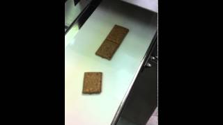 BakeryMachinery.Net Granola Bar Production System -  Dough Test. mp4