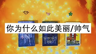 你为什么如此美丽/帅气？ | ⭐ 不限时间 ⭐ | 🦋 塔罗牌大众占卜 🦋