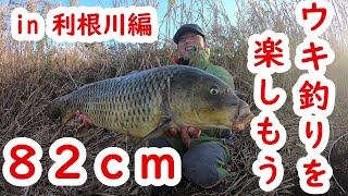 渡辺武さんが攻める！！鯉のウキ釣り  in 利根川