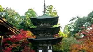 西明寺（さいみょうじ）湖東三山