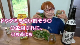 ドクダミは花も葉も超優れもの｜虫刺されにドクダミの日本酒と焼酎漬け|どくだみ茶、田舎暮らしに