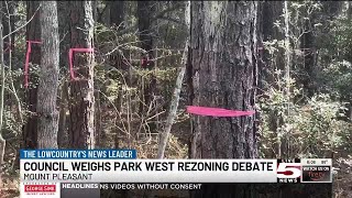 VIDEO: Mount Pleasant leaders weigh rezoning for 43-unit townhome project in Park West
