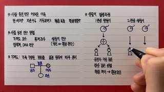 사람의 유전연구와 쌍둥이 발생