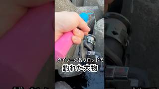 【穴釣り】ダイソー穴釣りロッドの実力#shorts