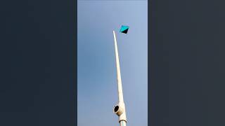 Kite looting in mid-day 😨।। #shorts #kiteflying #kitelooting #kitefestival #kite #patang #patangwala