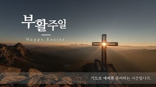 [23.4.9 주일예배] 역전시키는 부활의 능력을 경험하라 (요 20장 1~8절) | 역곡 예수비전교회_신현호목사