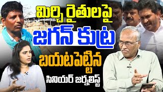 మిర్చి రైతులపై జగన్ కుట్ర... | Sr Journalist Satya Murthy Shocking Comments On YS jagan | AP news