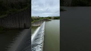 Maravakandy Dam, Ooty #youtubeshorts  #shortsvideo  #shorts