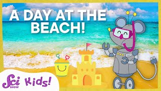 Science at the Beach! | SciShow Kids Compilation