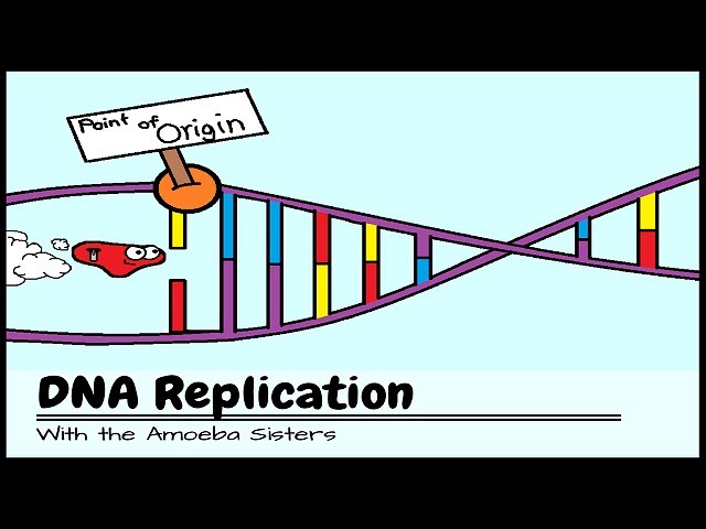 Dna Replication Comic Strip