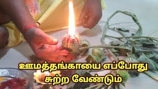 ஊமத்தங்காயை எப்போது சுற்ற வேண்டும்