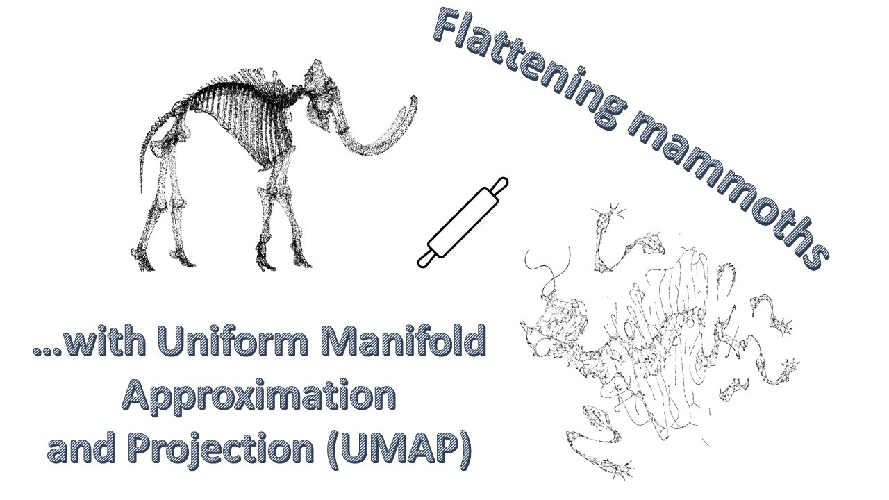 Uniform Manifold Approximation And Projection (UMAP): Practical ...