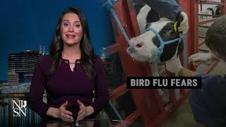 Bird flu's impact on NJ businesses and consumers