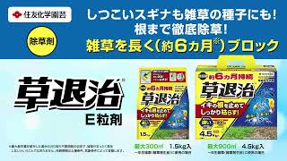 イキの根を止めてしっかり枯らす！しつこいスギナにも！草退治E粒剤